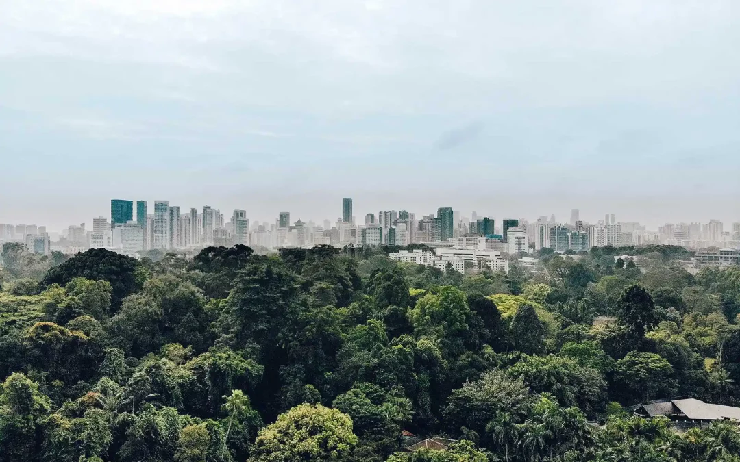 Boom times for urban revegetation